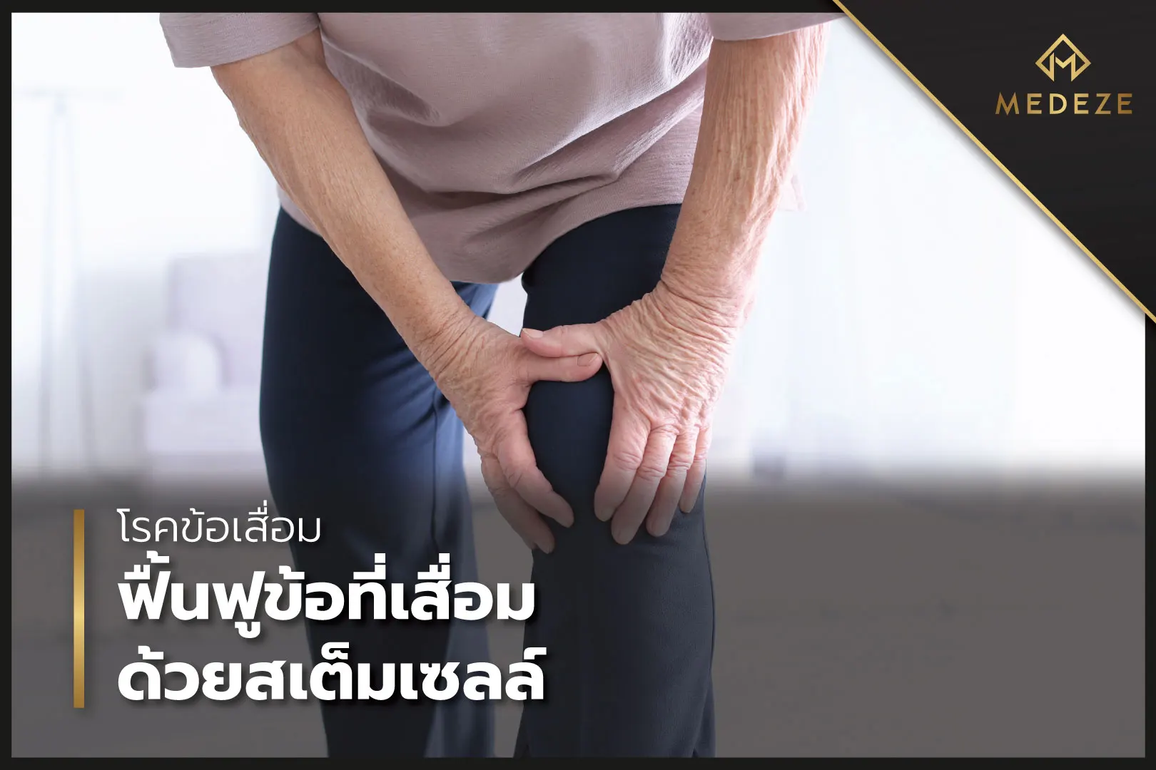 Osteoarthritis of the Knee