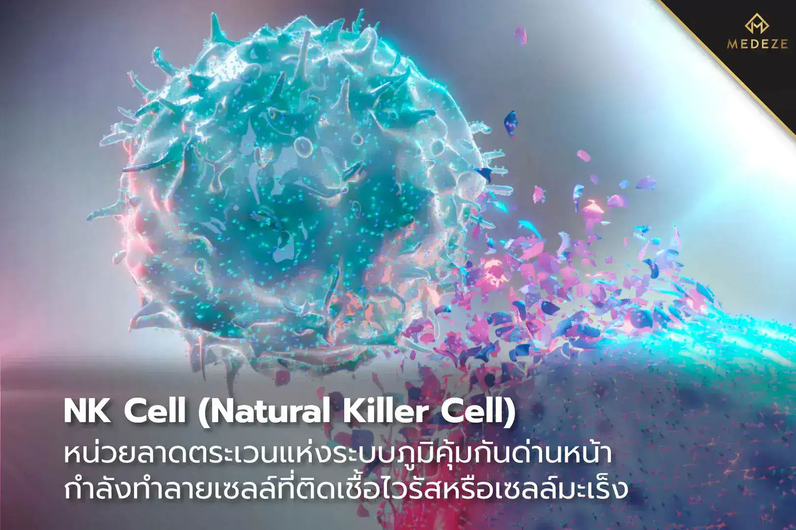 NK Cell