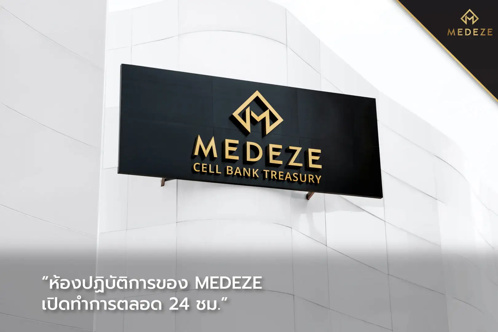 MEDEZE GROUP
