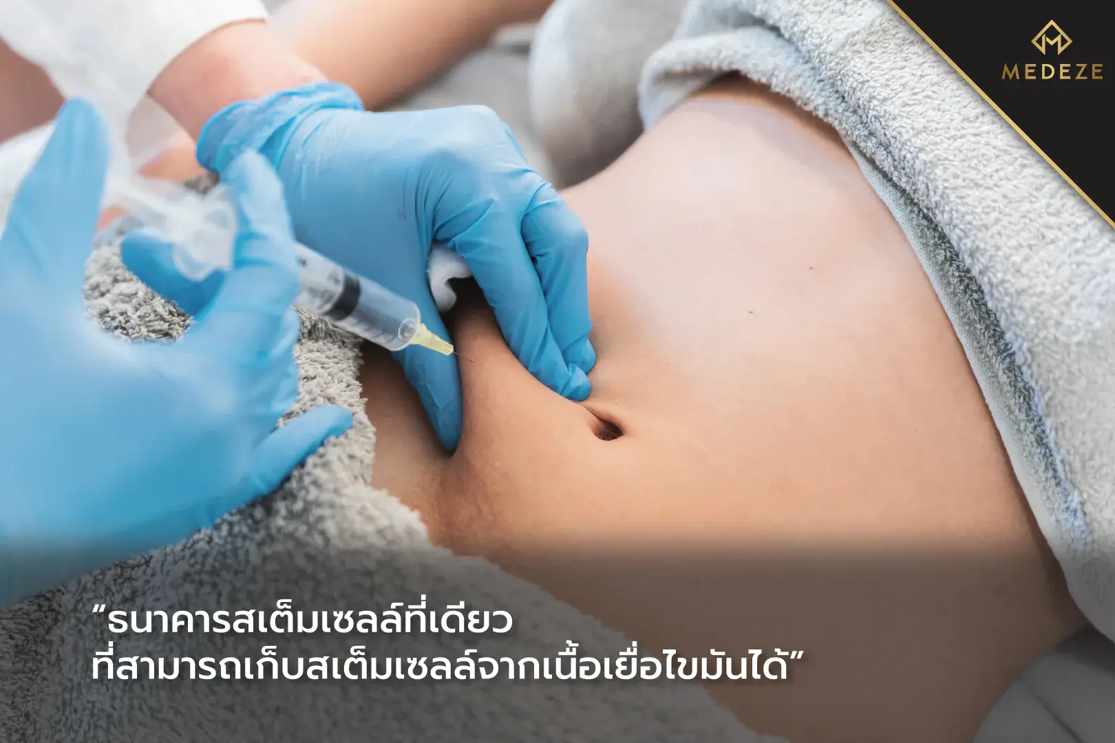 สเต็มเซลล์