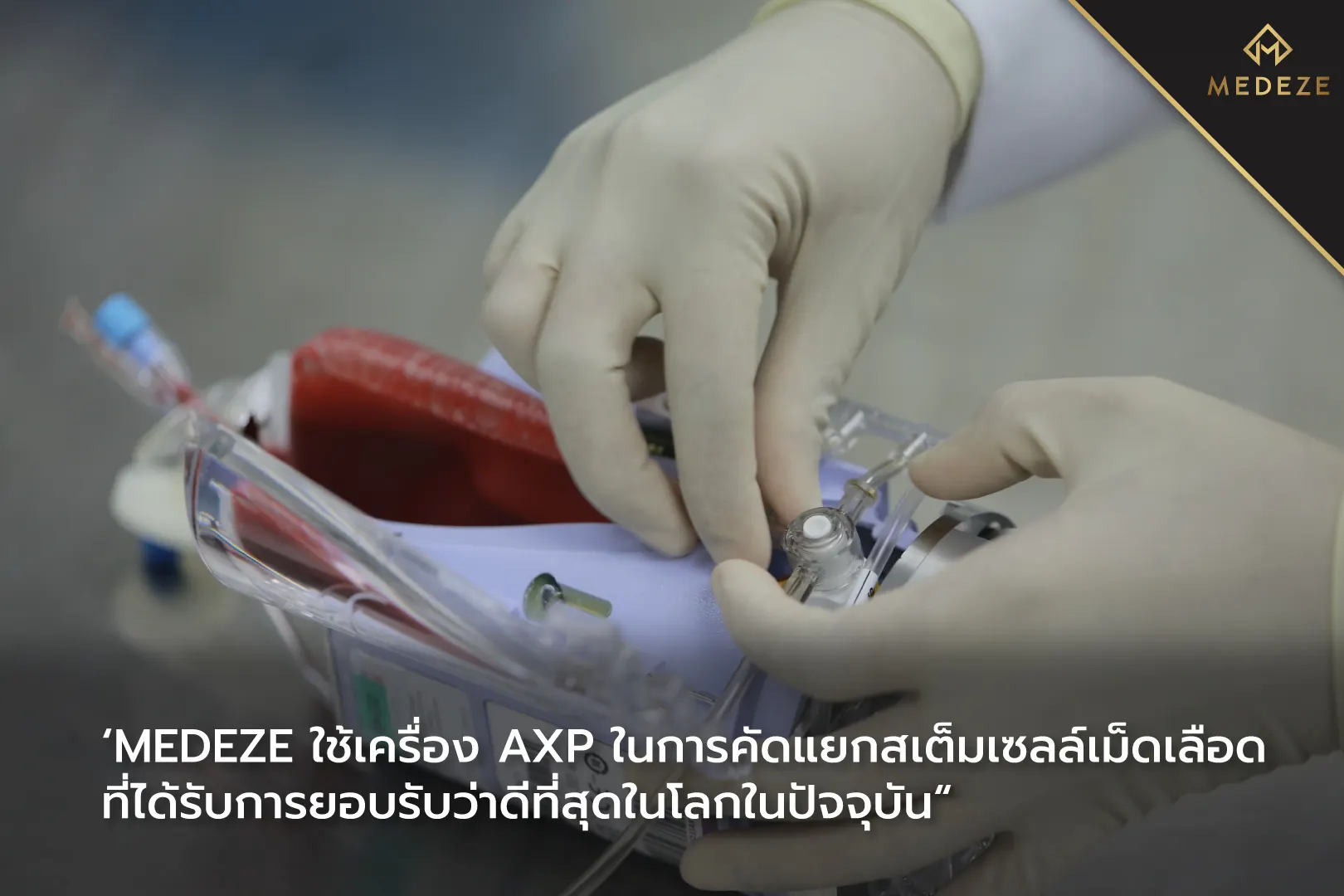 สเต็มเซลล์