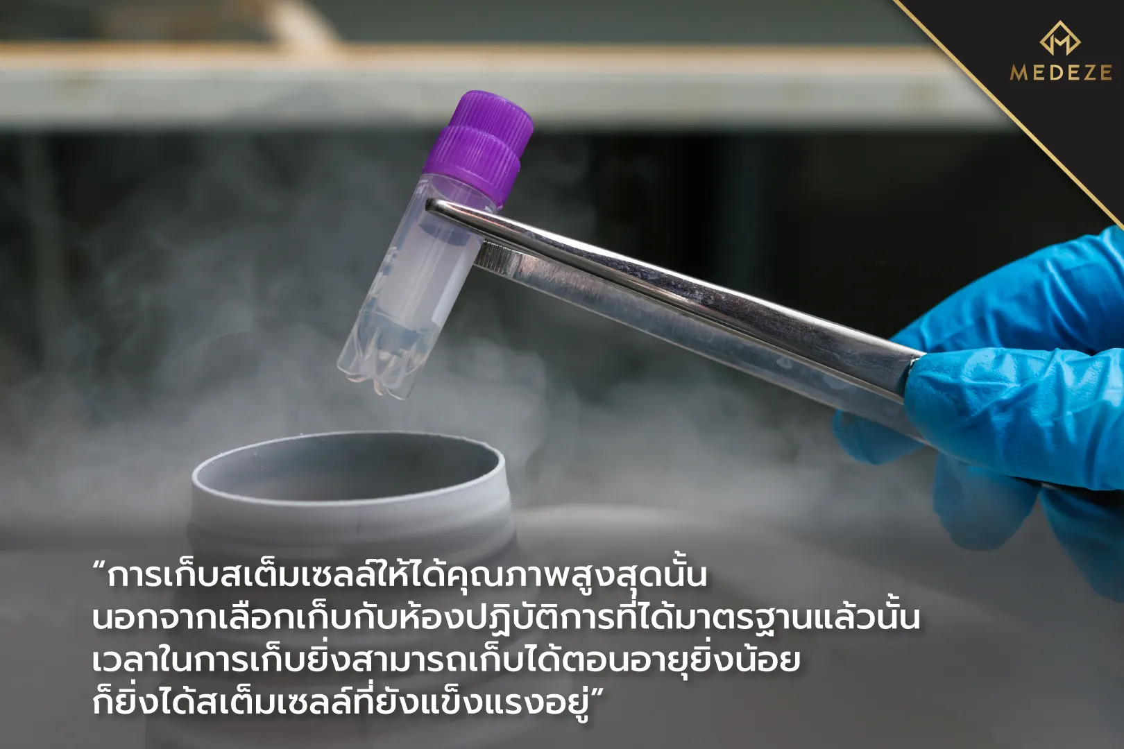 คัดแยกสเต็มเซลล์