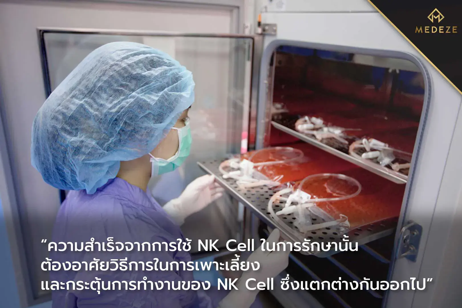 NK Cell
