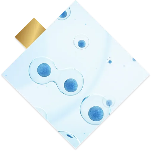 Stem Cell Banking
